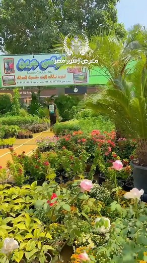 "لو بتحب الزهور والنباتات 🌿 أو نفسك تعيش يوم كله راحة وجمال طبيعي… يبقى لازم تزور معرض زهور مصر! 🌸✨ من 6 نوفمبر ولحد 5 ديسمبر، هتلاقي نفسك في وسط ألوان، وعطور، وأشكال تخطف القلب 💐 سواء بتدور على نباتات منزلية، صبارات صغيرة، أو زهور نادرة — هتلاقي كل اللي تتخيله في مكان واحد ❤️ ⛲ أجواء هادية في حديقة النهر – الزمالك 🚗 وفيه باركينج داخل الحديقة علشان راحتك (لقطة واسعة للحديقة مليانة ناس وزهور) تعال عيش التجربة بنفسك… وخلي نهاية السنة كلها طبيعة وألوان 🍂🌷 📍 حديقة النهر – الزمالك 🔗 https://m