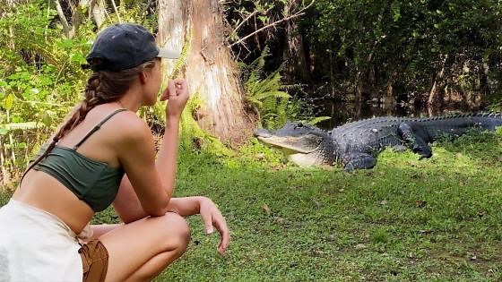 Up close with alligators - exploring the Everglades swamp!