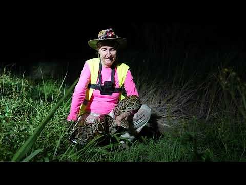Meet Donna Kalil, Florida‘s Original Python Huntress