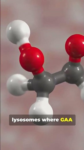 What Is Acid Alpha-Glucosidase and Why Is It Important?