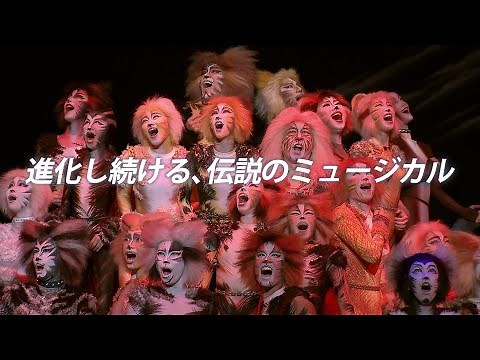 劇団四季：キャッツ：広島公演プロモーションVTR（2024年）