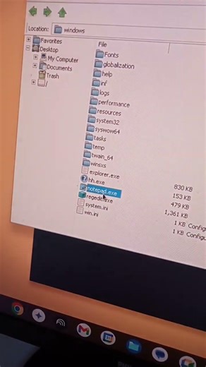 windows notepad on chromeos