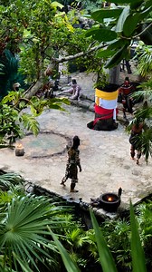 202K views · 4.8K reactions | POV: Watching the Owl Dance in the middle of the jungle.  Don't miss it every day at point 51 at Prehispanic Town. ➡️ White line. ➡️ 5:00 pm. | Xcaret Park | Facebook