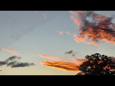 Sydney and NSW rail vlog 104: Wolli creek on all platforms requested by ‪@harmangill8063‬