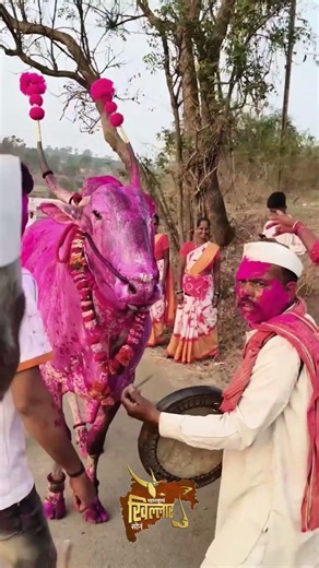 महाराष्ट्राच खिल्लार सोन