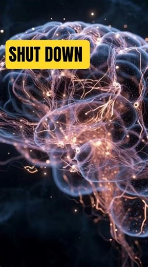 Your Brain Can Shut You Down Without Warning