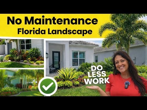 No-Maintenance Tropical Florida Landscapes That Looks Amazing