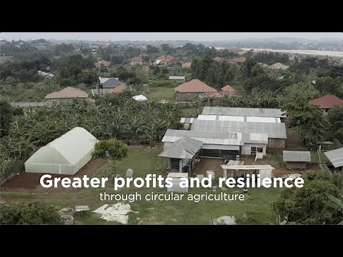 How to run a profitable small farm | Circular food systems in East Africa 3/5
