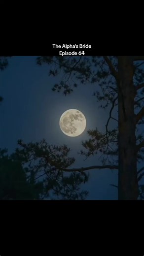 The Alpha's Bride – Episode 64: A Captivating Tale