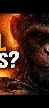 The Dark True Story Behind Dora the Explorer | The Monkey That Killed Her Father