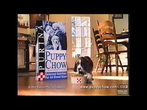 Purina Puppy Chow Television Commercial 1999