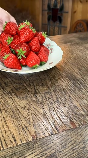 Japan's Best Sweets and Foods Showcase