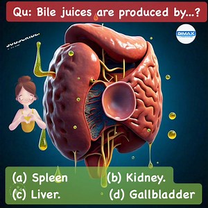Follow 👉🏻Dimax Life Sciences Bile Juice: Produced by the Liver Bile juice is a digestive fluid produced by the liver and stored in the gallbladder. It plays a crucial role in the digestion and absorption of fats. When we eat fatty foods, the gallbladder releases bile into the small intestine through the bile duct. Bile contains bile salts, cholesterol, and waste products like bilirubin. The bile salts help break down large fat molecules into smaller droplets, a process called emulsification, m