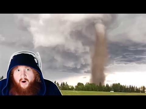 CaseOh Reacts To The CRAZIEST Nature Videos