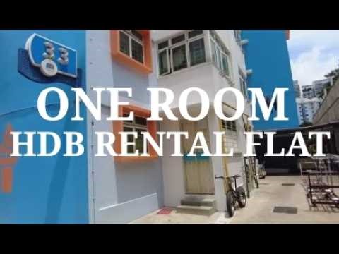 One Room Rental HDB flat Blk 33. Something unexpected on the 4th floor. Saving drowning baby bird.