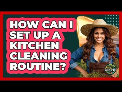 How Can I Set Up A Kitchen Cleaning Routine?