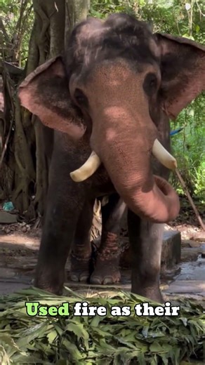 The Ice Age Was Hell — How Humans Survived a Frozen World | Documentary