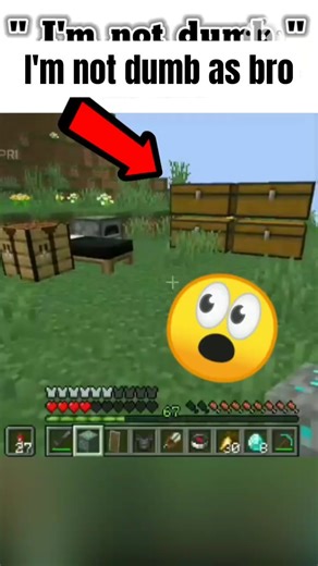*Funny*I'm not dumb as bro #minecraft #funny #memes #trending #viral #shorts #youtubeshorts