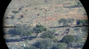 Enhancing Your Shooting Experience with Element Optics and Trigger Cam 2