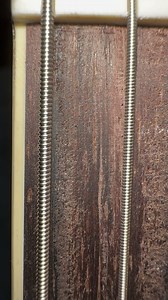 My brand new Chibson came in…