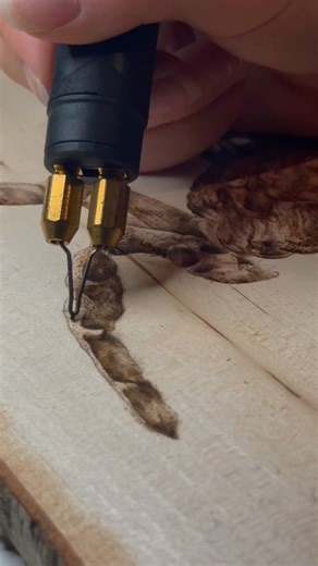 It’s been 1 year of learning pyrography, I’ve improved so much! #howitstartedvshowitsgoing #woodburn