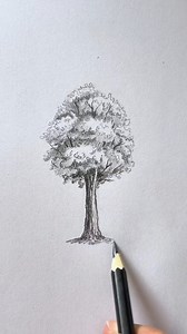 Un arbre super facile à dessiner au crayon 😉. #dessin #debutant #facile #apprendre #tuto #tutorial #draw #drawing #easy #learn #beguiner #tree | Ezio Lia