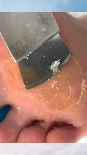 159K views · 630 reactions | #pedicure | Nail Salon | Facebook