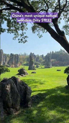 Discover the Mysterious Stone Forest of China | #StoneForest #Kunming #Yunnan