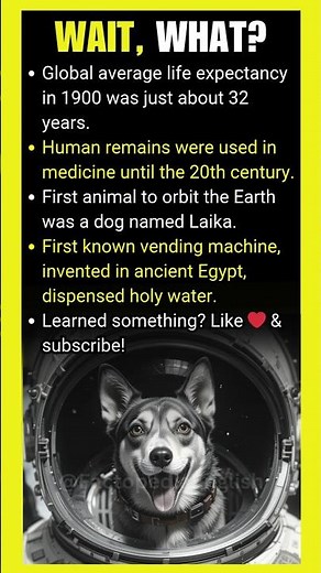 What was the global average life expectancy in 1900?