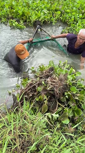 Survival Techniques: Catching Huge Eel Fish