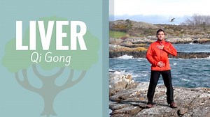 Liver/Wood Element Qigong (28 mins) - Long Practices (all routines over 15 mins) - Qi Gong for Vitality