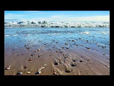 Peaceful Morning Meditation | Ocean Sounds Peace and Gratitude