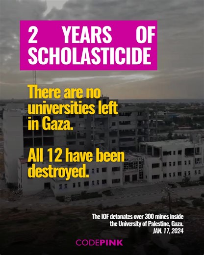 CODEPINK: Women For Peace on Reels