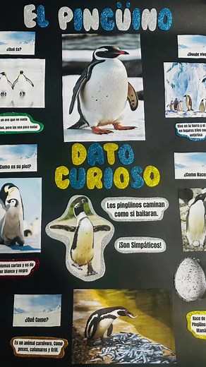 Disertación del Pingüino en Preescolar