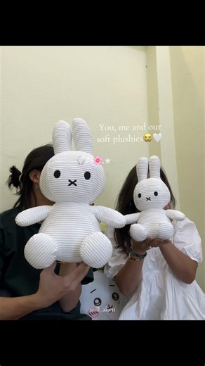 Cute Plushies: You, Me, and Soft Companions 😭🤍