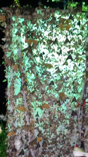 Themothlady | moth_shrine - entomologists dreams ) light trap. #entomology #insects #moth #lighttrap | Instagram