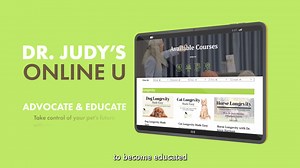 415 reactions · 53 shares |  August is Pet Liver Health Month at Dr....