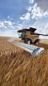 New Holland CR9.90 in Action with Stripper Header