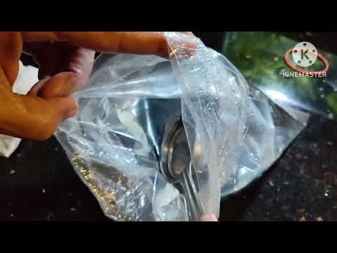 DIY Introducing Shrimps to a Nano Aquarium | Cherry Shrimp Care Tips@BABA RX100