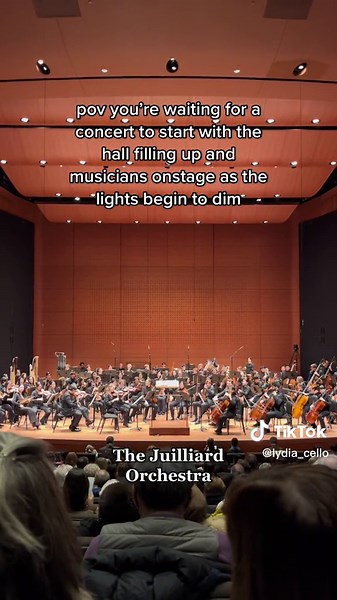 Orchestra Warming Up: The Beauty of Controlled Chaos