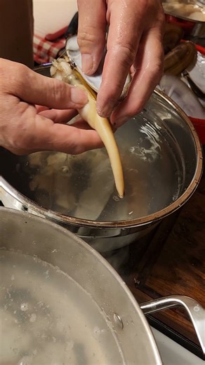 cleaning razor clams part 3 #clam #clamdigging #razorclams #clamdigging #seafood
