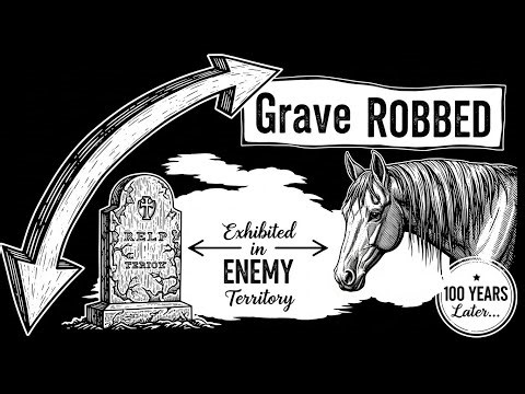 What REALLY Happened to Robert E. Lee's Horse After the Civil War