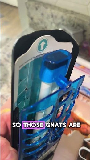 The flying insect trap that actually works!