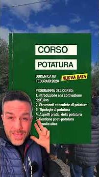 How to care for 15,000 olive trees a year