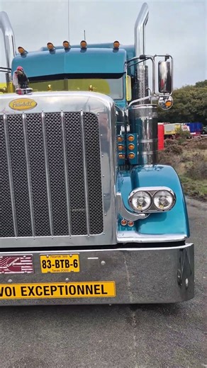 Amazing peterbilt 389, builtyear 2022 #trucks #truckslover #automobile #truckdriver