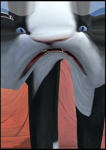 Poop chocolate chip cookies cat 😂😂😂