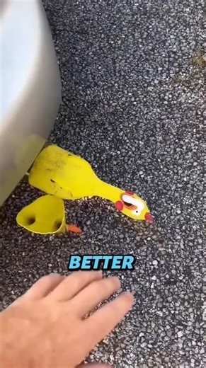 “These Weird Car Mods Went TOO FAR 😳🤣”