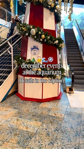 It's the most wonderful time of the year! 🎶 Ready for a fun December!? We've got lots for you to do here at the aquarium!🎄🎅❄️ 🌊 🎄YuleTides presented by GEICO 11/28-1/4 🌧️ AquaTots "Rainforest" 12/3 💙 Parent’s Night Out 12/6 🌊 Member First Saturday 12/6 😌 Sensory-Friendly YuleTides 12/7 💫 AquaTots "Blast to the Past" 12/10 🎅 YuleTides Member Night 12/12 ❄️ AquaTots "Wild Artic- Winter Celebration" 12/17 🛥️ Holiday Lighted Boat Parade 12/20 ⛄️ AquaCamps 12/22-12/24 & 12/29-12/31 Save t