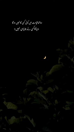 🥀🙂 . . #fyp #lines #poetry #viral #explore #reels #trending #deep #growmyaccount #photography #moon