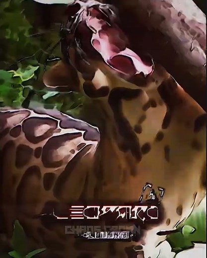 Clouded Leopard Vs Eurasian Lynx
